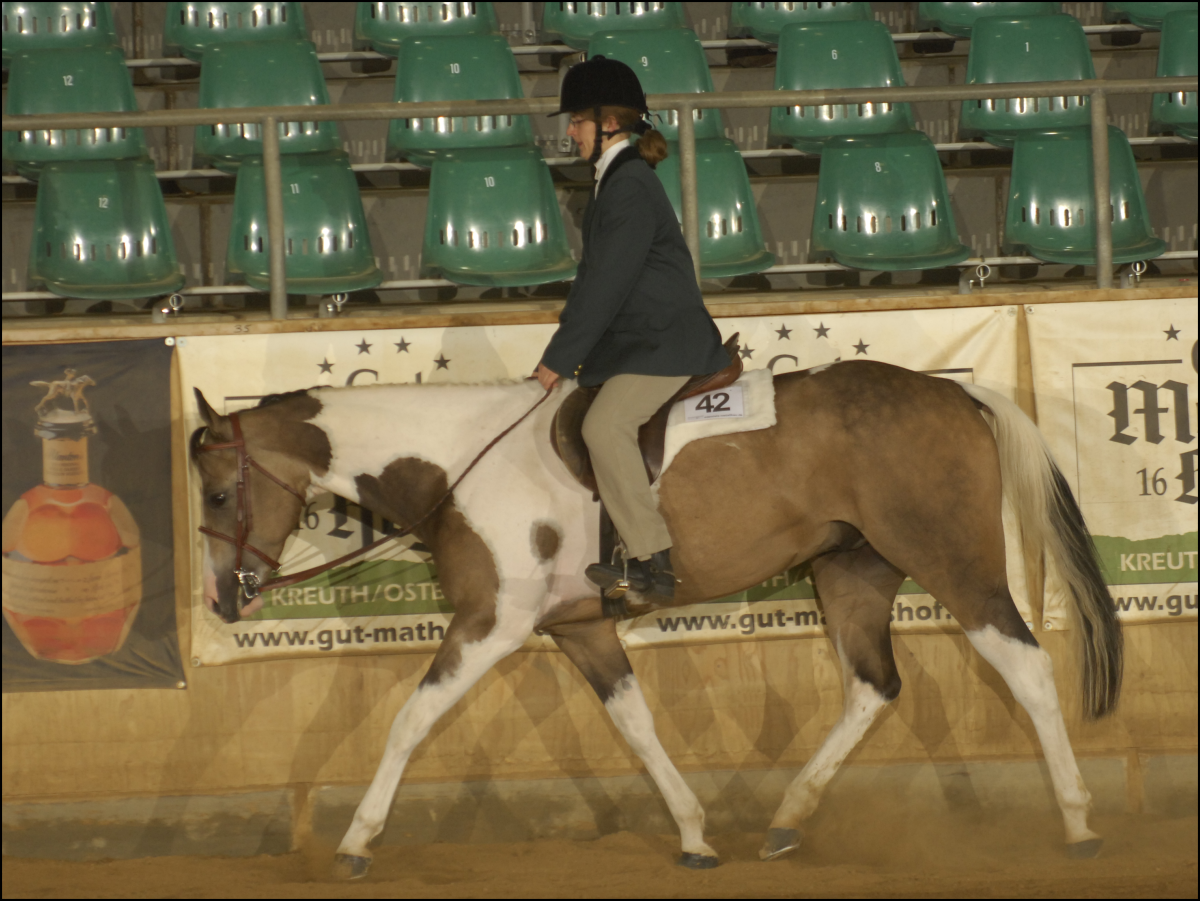 EM Jr. Hunter under Saddle mit Docs Shining Check