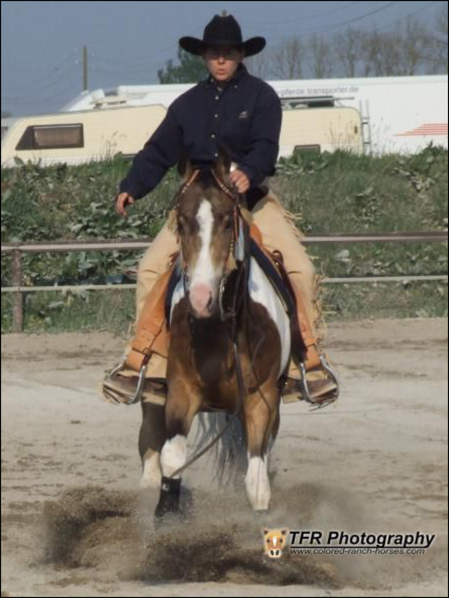 Reining mit Docs Shining Check