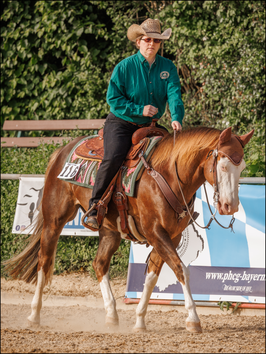 Bayerischer Meister Ranch Riding mit KB Shiny Lil Wimp