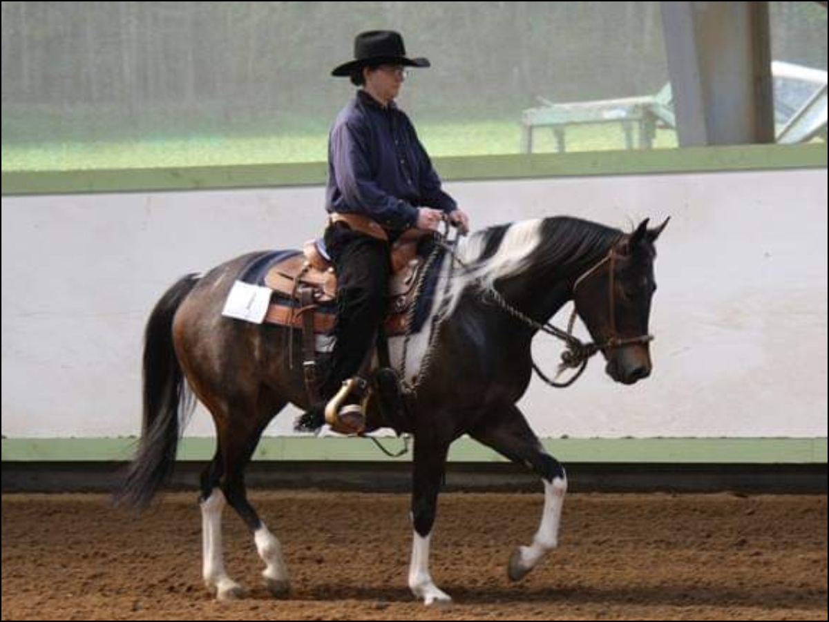 Ranch Riding mit TFR Hollywood San Dee